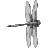 dragonflyanglers logo